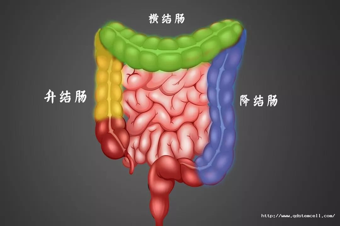 微信图片_20210924084056.jpg