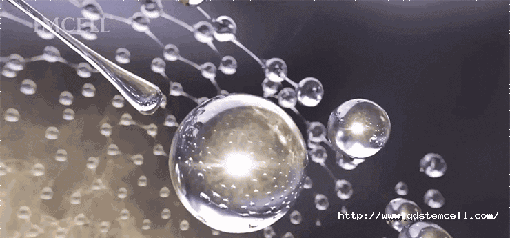 微信图片_20210924084118.gif