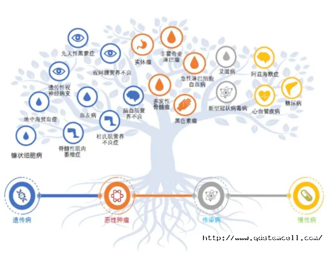 图片13.png